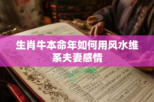 生肖牛本命年如何用风水维系夫妻感情