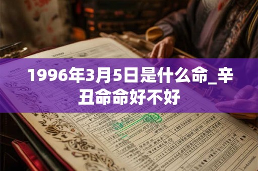 1996年3月5日是什么命_辛丑命命好不好