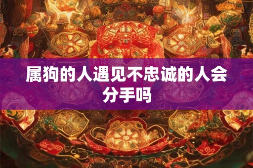 属狗的人遇见不忠诚的人会分手吗