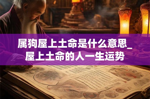 属狗屋上土命是什么意思_屋上土命的人一生运势