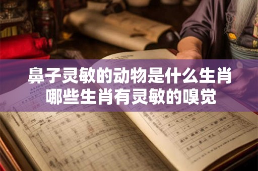 鼻子灵敏的动物是什么生肖 哪些生肖有灵敏的嗅觉 鼻子灵敏的动物是什么生肖 哪些生肖有灵敏的嗅觉