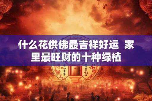 什么花供佛最吉祥好运  家里最旺财的十种绿植