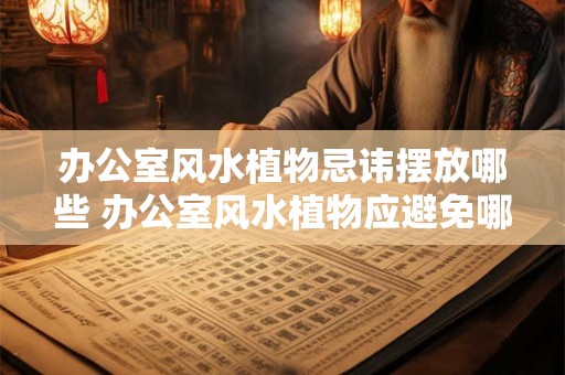 办公室风水植物忌讳摆放哪些 办公室风水植物应避免哪些