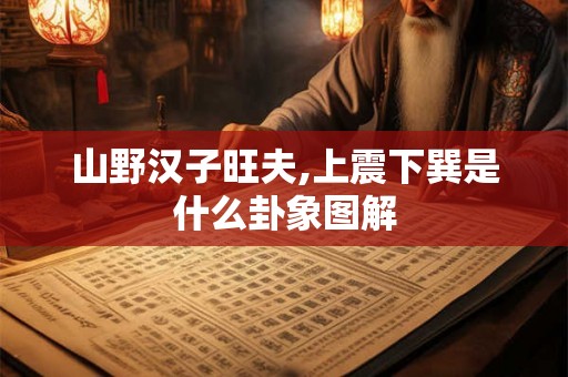 山野汉子旺夫,上震下巽是什么卦象图解