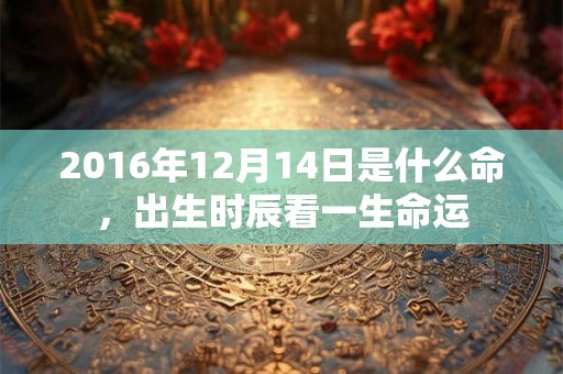 2016年12月14日是什么命,出生时辰看一生命运 2016年12月14日是什么命,出生时辰看一生命运
