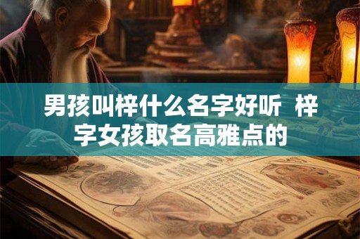 男孩叫梓什么名字好听  梓字女孩取名高雅点的