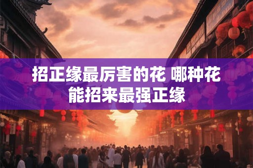 招正缘最厉害的花 哪种花能招来最强正缘 招正缘最厉害的花 哪种花能招来最强正缘