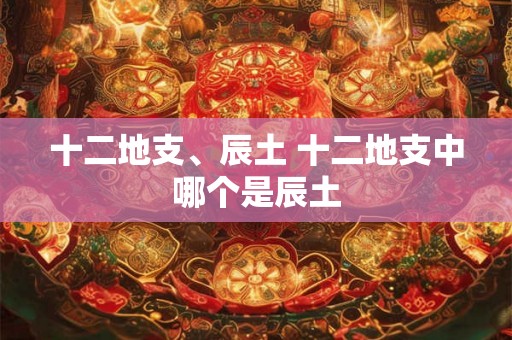 十二地支、辰土 十二地支中哪个是辰土