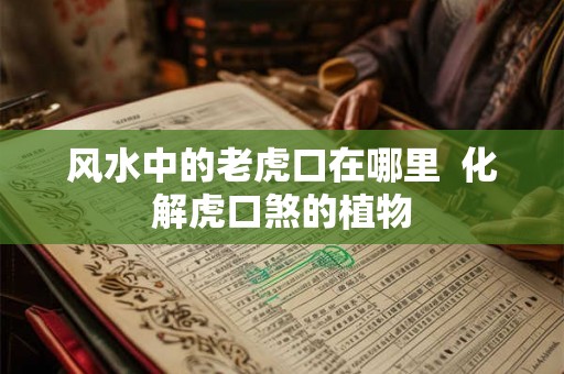 风水中的老虎口在哪里  化解虎口煞的植物