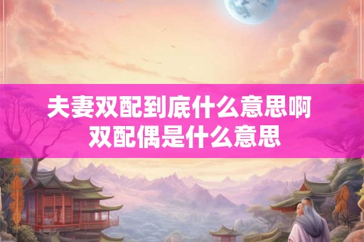 夫妻双配到底什么意思啊  双配偶是什么意思