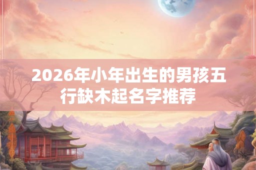 2026年小年出生的男孩五行缺木起名字推荐