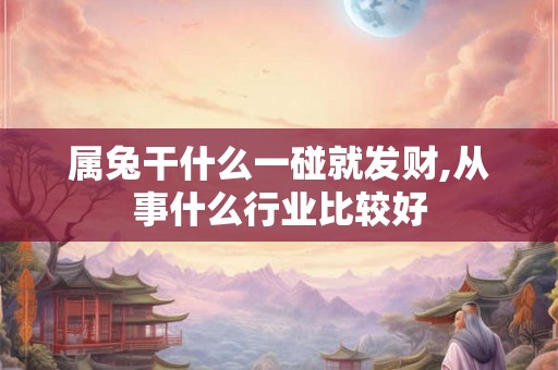 属兔干什么一碰就发财,从事什么行业比较好