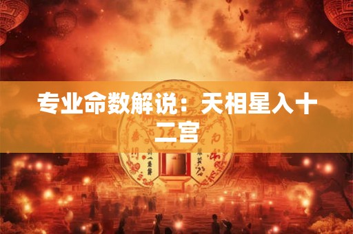 专业命数解说：天相星入十二宫