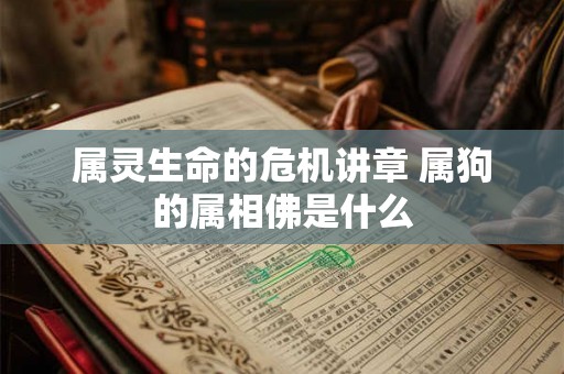 属灵生命的危机讲章 属狗的属相佛是什么