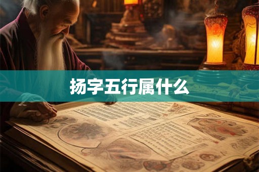 扬字五行属什么