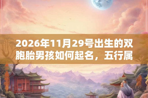 2026年11月29号出生的双胞胎男孩如何起名，五行属什么