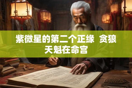 紫微星的第二个正缘  贪狼天魁在命宫