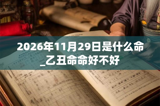 2026年11月29日是什么命_乙丑命命好不好