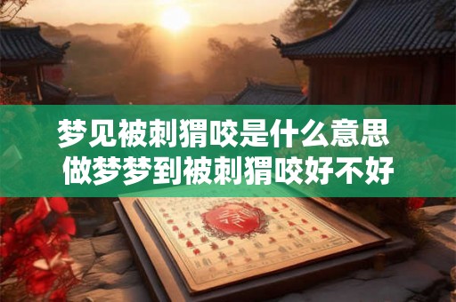 梦见被刺猬咬是什么意思 做梦梦到被刺猬咬好不好 梦见被刺猬咬是什么意思 做梦梦到被刺猬咬好不好