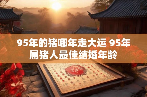 95年的猪哪年走大运 95年属猪人最佳结婚年龄
