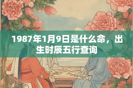 1987年1月9日是什么命，出生时辰五行查询
