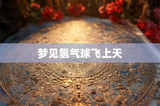 梦见氢气球飞上天