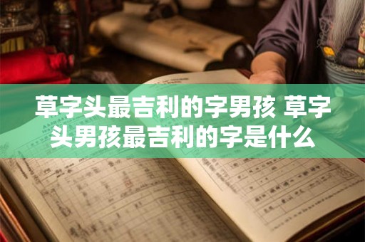 草字头最吉利的字男孩 草字头男孩最吉利的字是什么