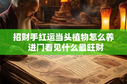 招财手红运当头植物怎么养  进门看见什么最旺财