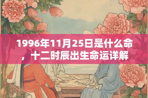1996年11月25日是什么命,十二时辰出生命运详解 1996年11月25日是什么命,十二时辰出生命运详解