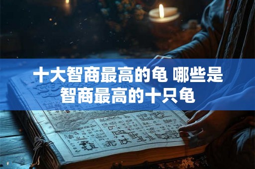 十大智商最高的龟 哪些是智商最高的十只龟