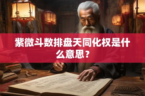紫微斗数排盘天同化权是什么意思？