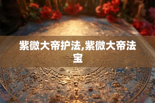 紫微大帝护法,紫微大帝法宝