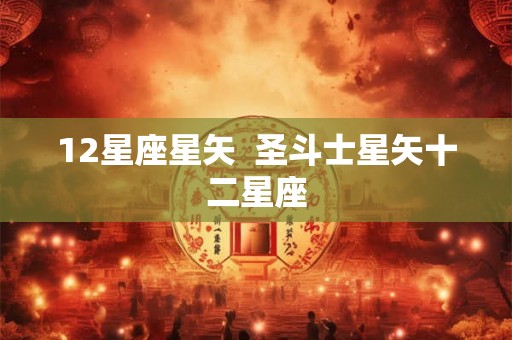 12星座星矢  圣斗士星矢十二星座