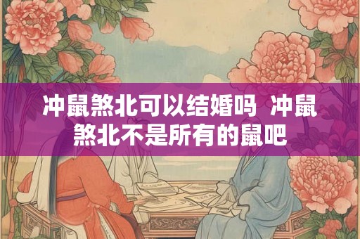 冲鼠煞北可以结婚吗 冲鼠煞北不是所有的鼠吧 冲鼠煞北可以结婚吗 冲鼠煞北不是所有的鼠吧