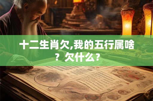 十二生肖欠,我的五行属啥？欠什么？