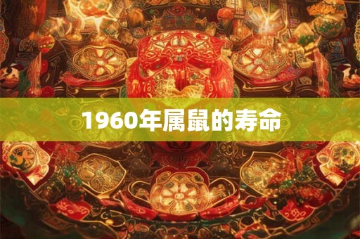 1960年属鼠的寿命