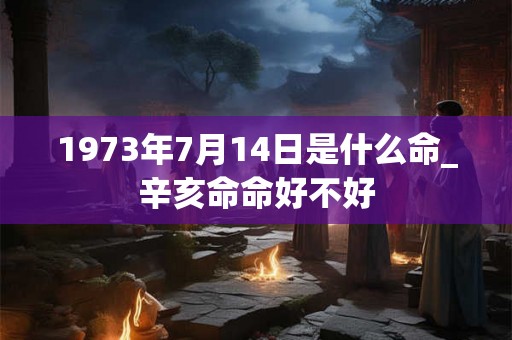 1973年7月14日是什么命_辛亥命命好不好