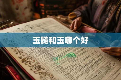 玉髓和玉哪个好 玉髓和玉哪个好