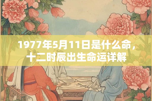 1977年5月11日是什么命，十二时辰出生命运详解
