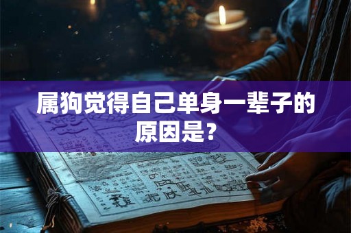 属狗觉得自己单身一辈子的原因是？