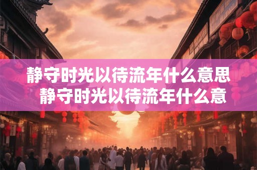 静守时光以待流年什么意思  静守时光以待流年什么意思