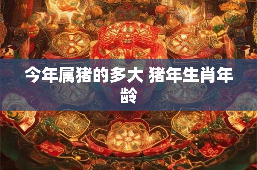 今年属猪的多大 猪年生肖年龄