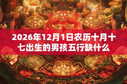 2026年12月1日农历十月十七出生的男孩五行缺什么 2026年12月1日农历十月十七出生的男孩五行缺什么