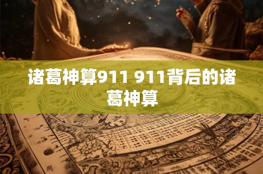 诸葛神算911 911背后的诸葛神算
