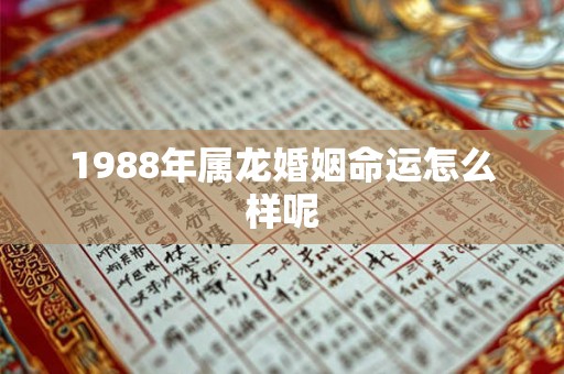1988年属龙婚姻命运怎么样呢