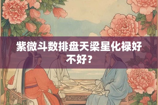 紫微斗数排盘天梁星化禄好不好? 紫微斗数排盘天梁星化禄好不好?
