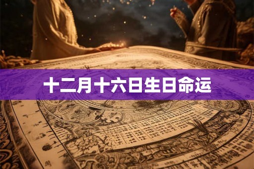 十二月十六日生日命运