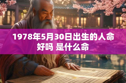 1978年5月30日出生的人命好吗 是什么命