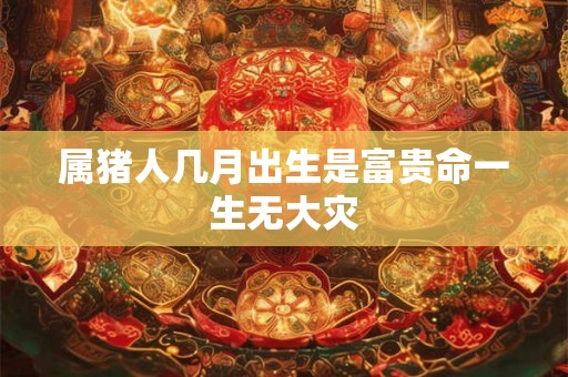 属猪人几月出生是富贵命一生无大灾
