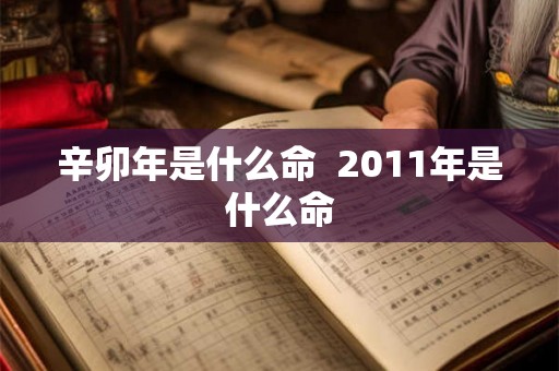 辛卯年是什么命  2011年是什么命